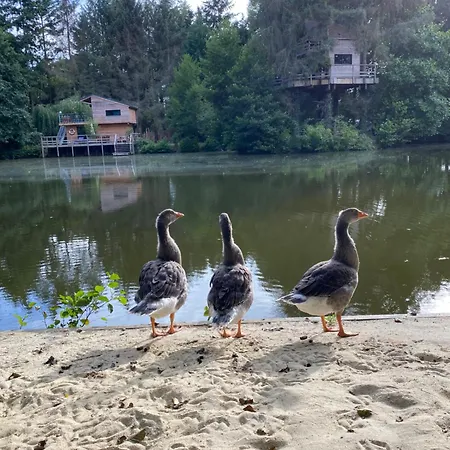 Campsite Les De Koad'dour - Sejour Dans Les Arbres